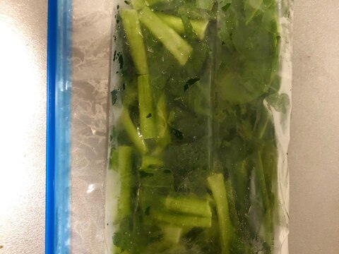 便利！小松菜の冷凍ストック